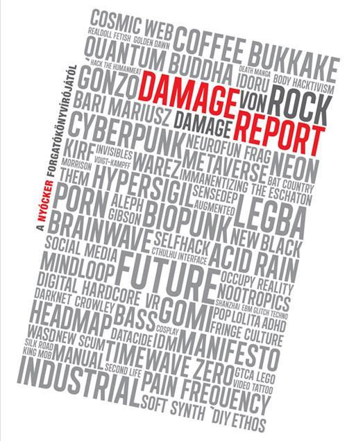 DAMAGE REPORT