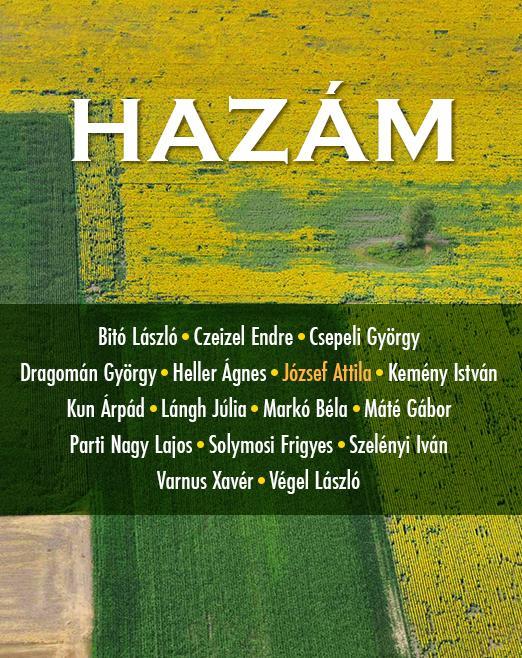 HAZÁM (ESSZÉK)