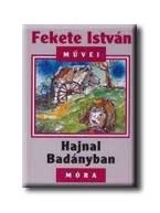 HAJNAL BADÁNYBAN