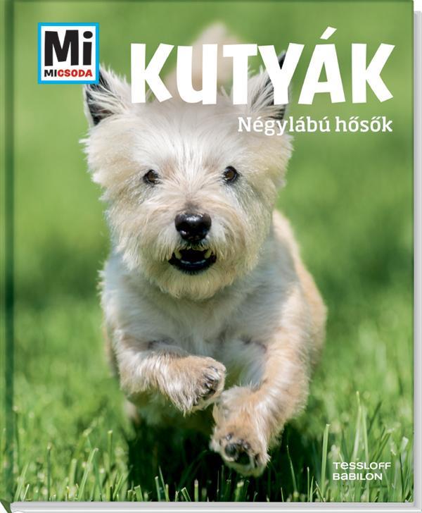 KUTYÁK - NÉGYLÁBÚ HŐSÖK - MI MICSODA