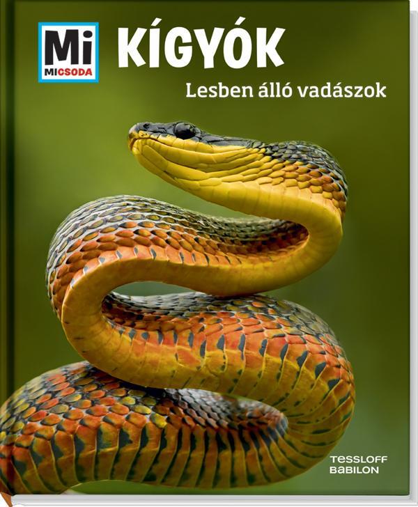KÍGYÓK - LESBEN ÁLLÓ VADÁSZOK - MI MICSODA