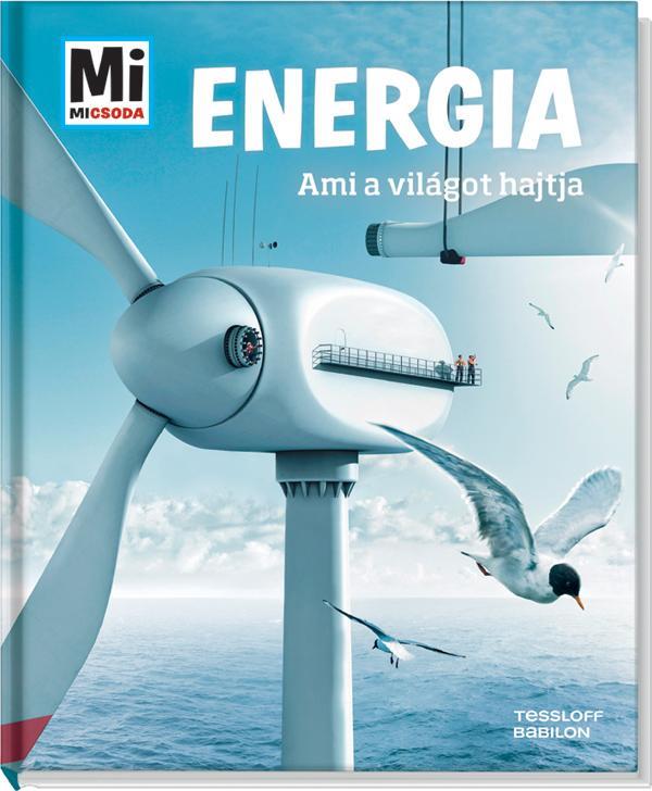 ENERGIA - AMI A VILÁGOT HAJTJA - MI MICSODA