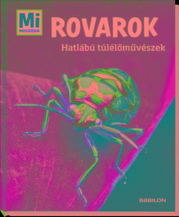 ROVAROK - HATLÁBÚ TÚLÉLŐMŰVÉSZEK - MI MICSODA