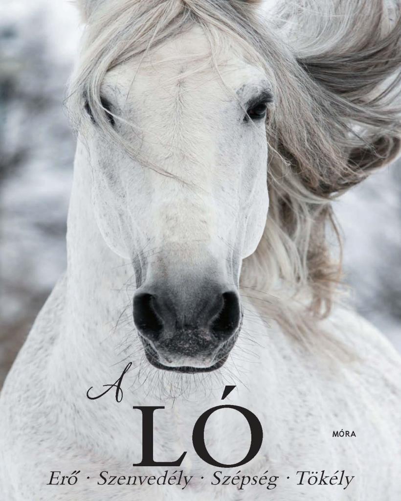 A LÓ - ERŐ, SZENVEDÉLY, SZÉPSÉG, TÖKÉLY