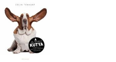A JÓL NEVELT KUTYA