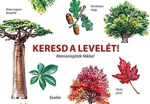 KERESD A LEVELÉT! - MEMÓRIAJÁTÉK FÁKKAL