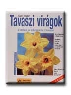 TAVASZI VIRÁGOK - 2. -
