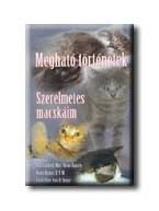 MEGHATÓ TÖRTÉNETEK - SZERELMETES MACSKÁIM