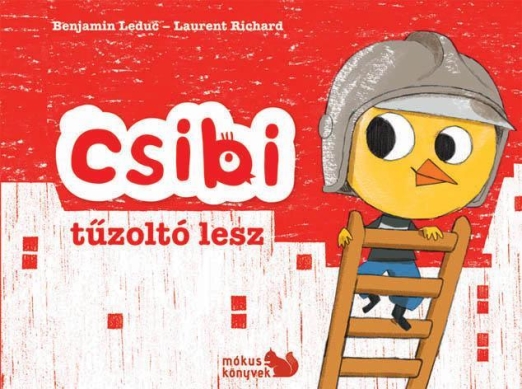 CSIBI TŰZOLTÓ LESZ
