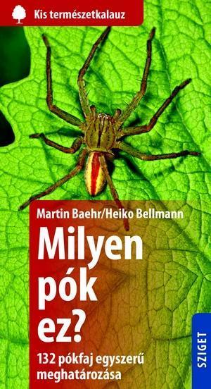 MILYEN PÓK EZ? - 132 PÓKFAJ EGYSZERŰ MEGHATÁROZÁSA