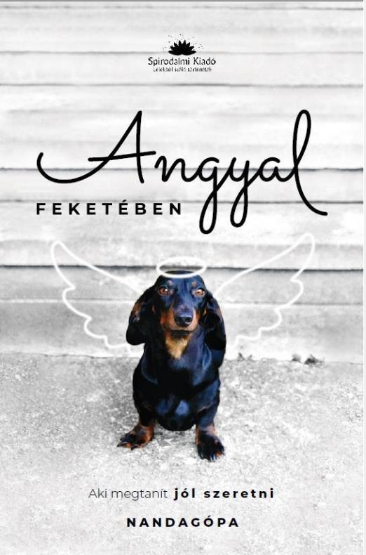 ANGYAL FEKETÉBEN