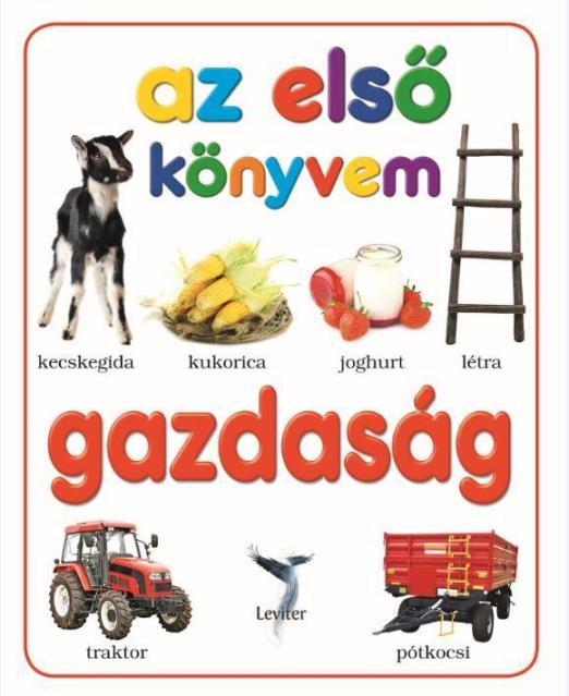 GAZDASÁG - AZ ELSŐ KÖNYVEM