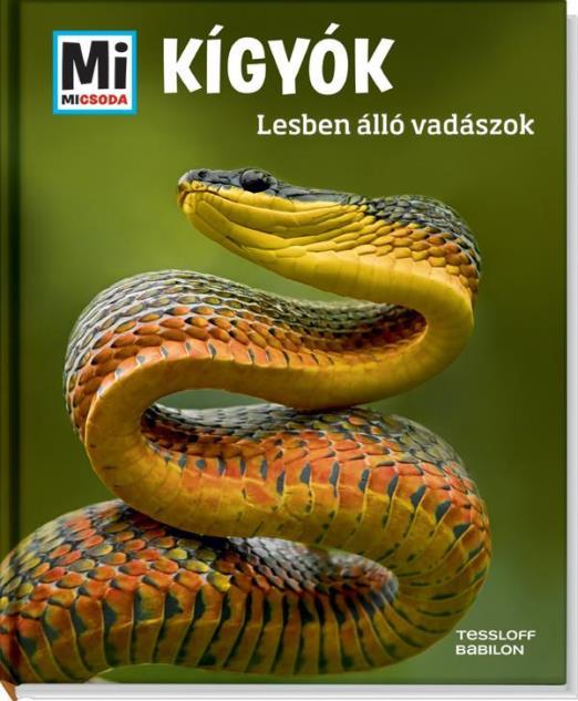 KÍGYÓK - LESBEN ÁLLÓ VADÁSZOK - MI MICSODA