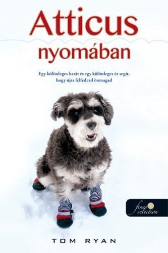 ATTICUS NYOMÁBAN - FŰZÖTT