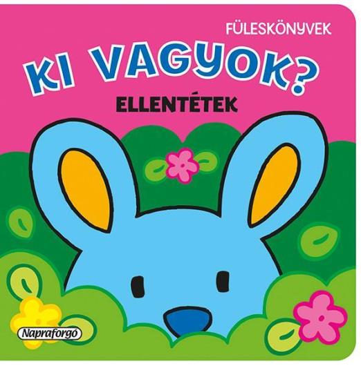 KI VAGYOK? - ELLENTÉTEK