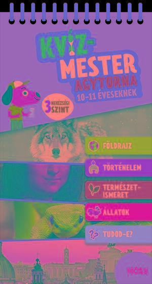 KVÍZMESTER 3 - AGYTORNA 10-11 ÉVESEKNEK