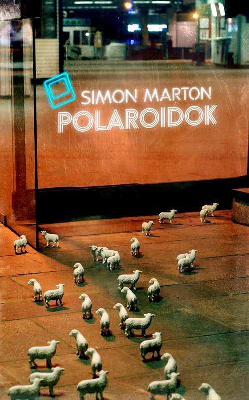 POLAROIDOK