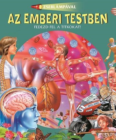 AZ EMBERI TESTBEN - ZSEBLÁMPÁVAL