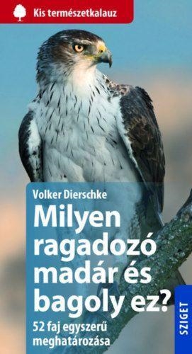 MILYEN RAGADOZÓ MADÁR ÉS MILYEN BAGOLY EZ?