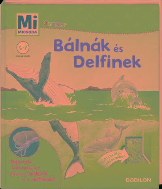 BÁLNÁK ÉS DELFINEK 25. - MI MICSODA JUNIOR -