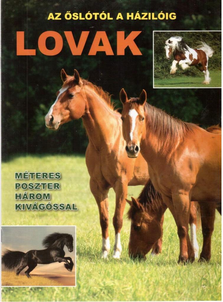 LOVAK - AZ ŐSLÓTÓL A HÁZILÓIG