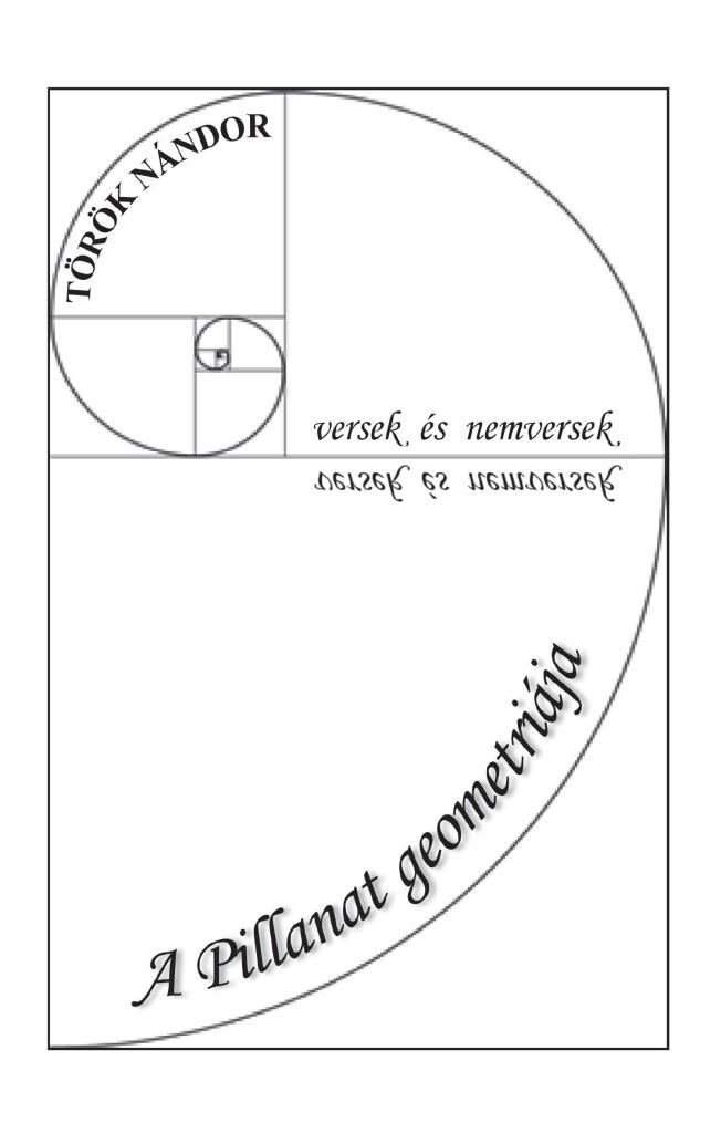 A PILLANAT GEOMETRIÁJA - VERSEK ÉS NEMVERSEK