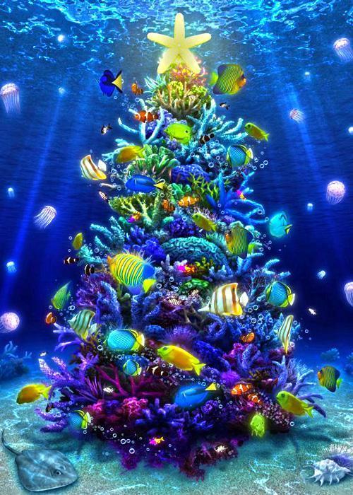 CHRISTMAS SEA (3D POSTCARD)