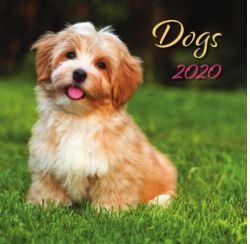 DOGS LEMEZNAPTÁR - 2025