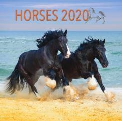 HORSES LEMEZNAPTÁR - 2025