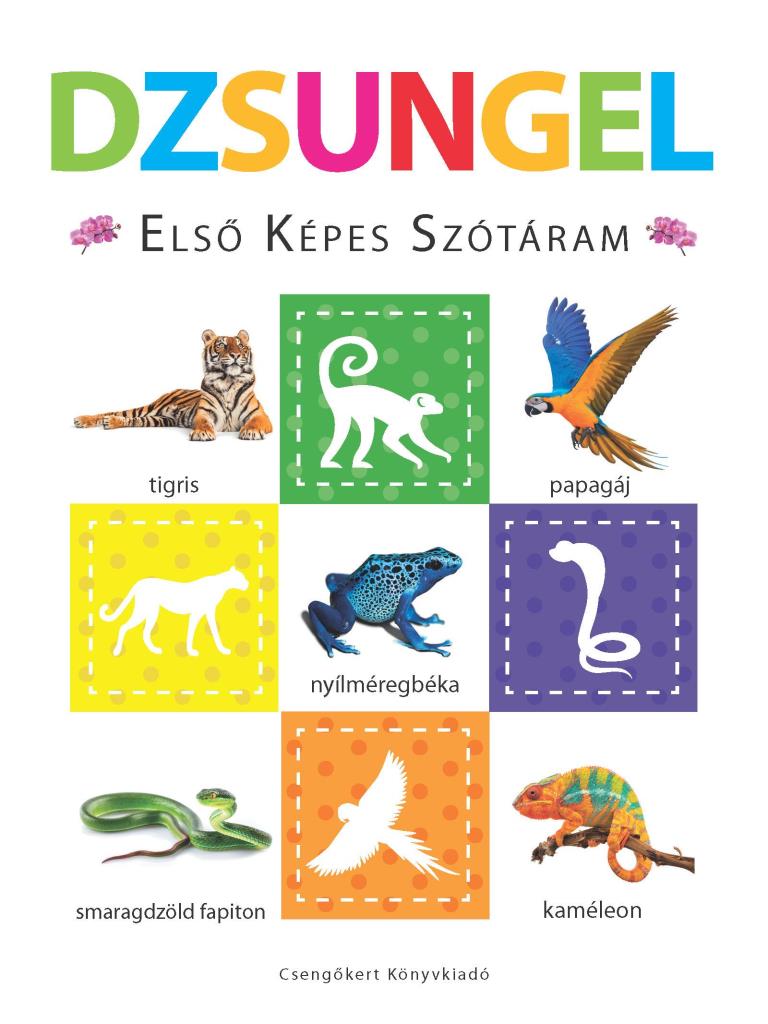 DZSUNGEL  ELSŐ KÉPES SZÓTÁRAM  SZIVACSKÖNYV