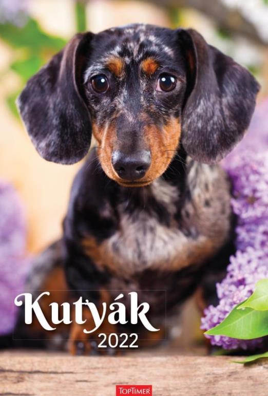KUTYÁK FALINAPTÁR 2026