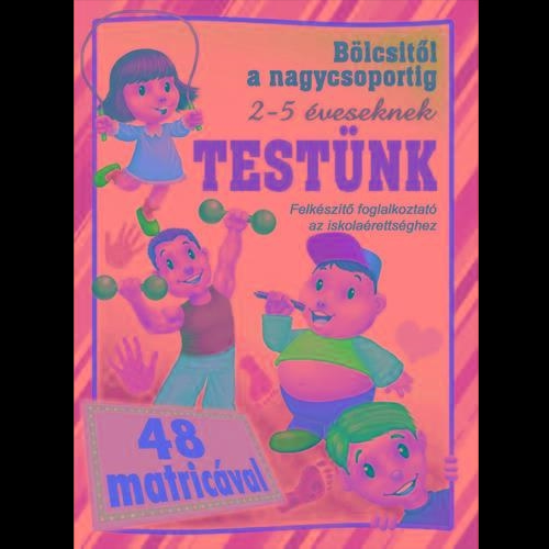 TESTÜNK - BÖLCSITŐL A NAGYCSOPORTIG (48 MATRICÁVAL)
