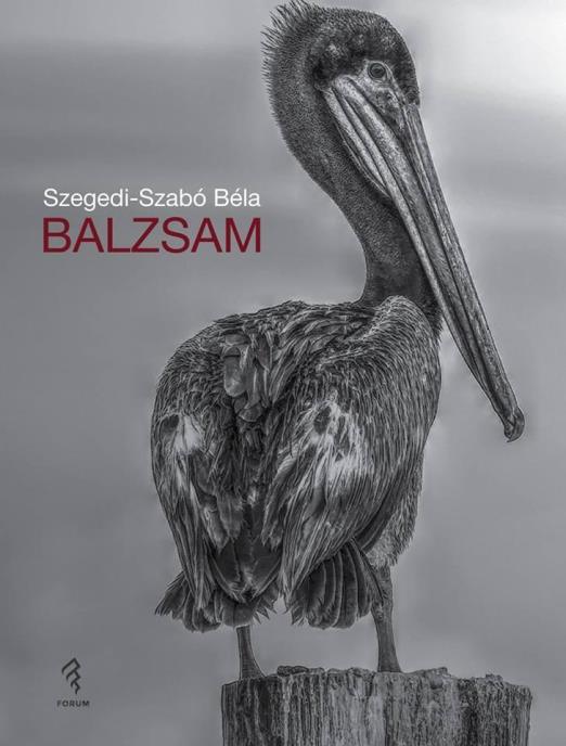 BALZSAM