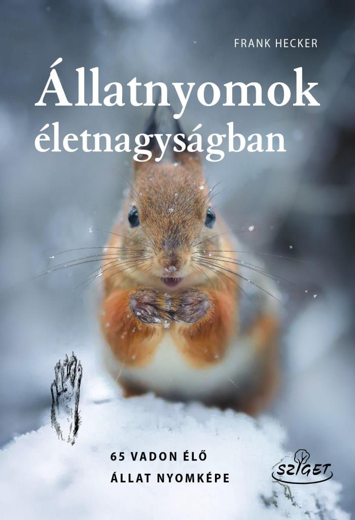 ÁLLATNYOMOK ÉLETNAGYSÁGBAN