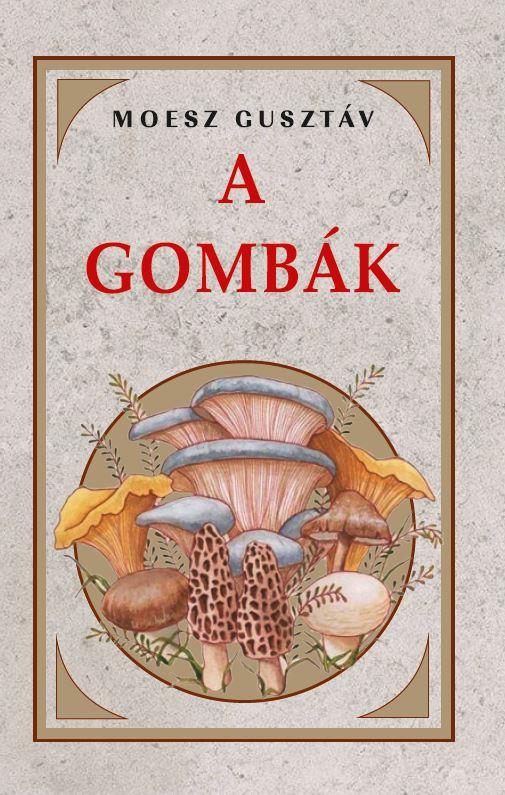 A GOMBÁK