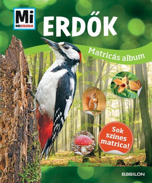 ERDŐK - MI MICSODA MATRICÁS ALBUM