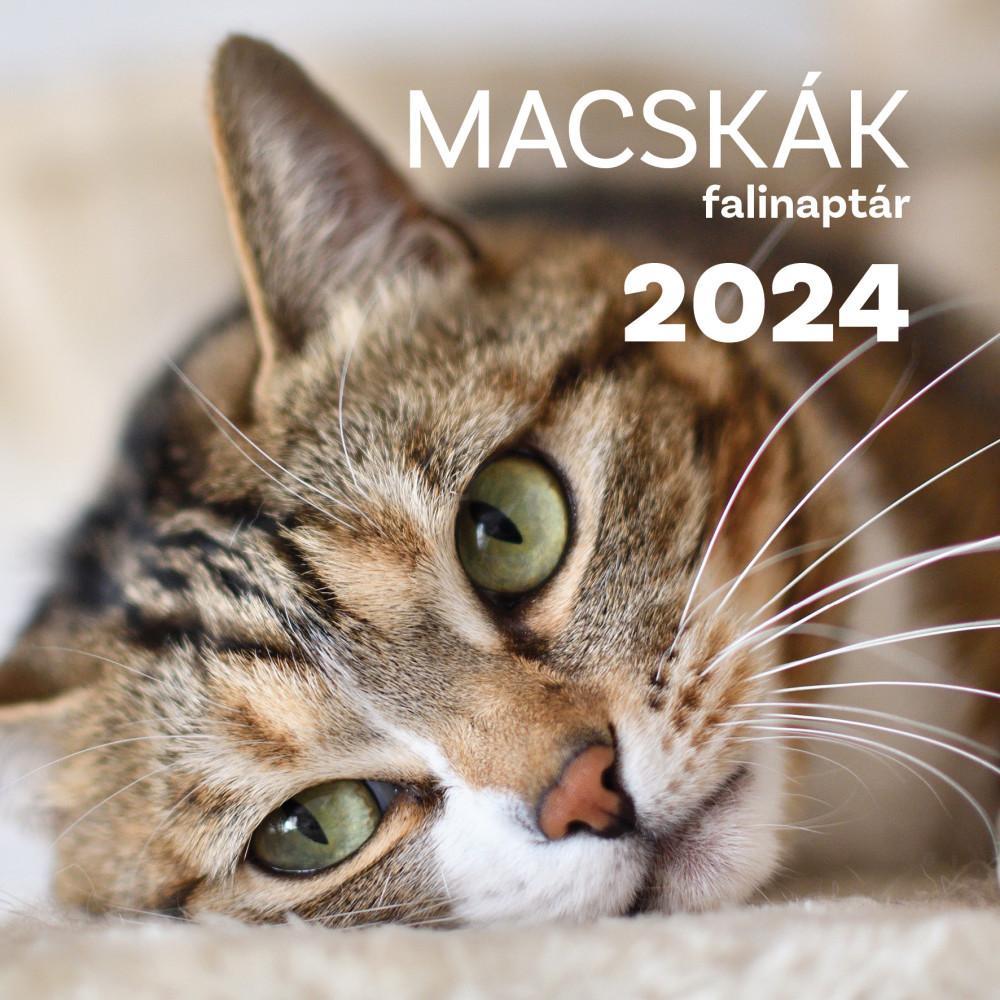 MACSKÁK 2024. FALINAPTÁR 30X30