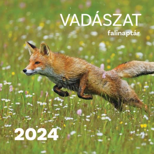 VADÁSZAT 2024. FALINAPTÁR 30X30