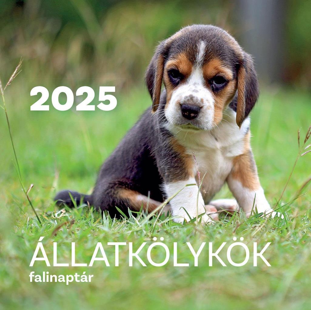 ÁLLATKÖLYKÖK FALINAPTÁR 2025.