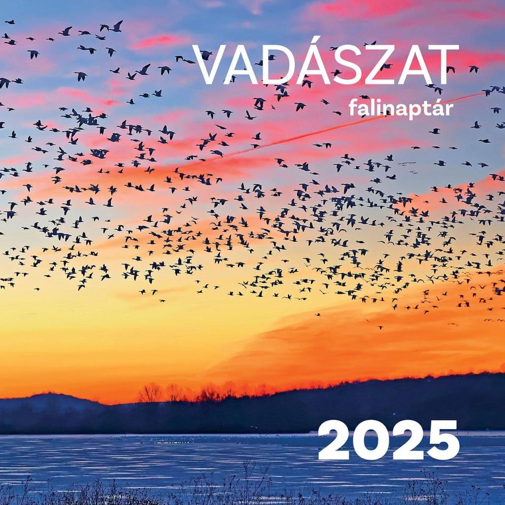 VADÁSZAT FALINAPTÁR 2025.