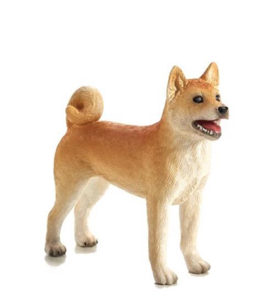 KUTYA SHIBA INU M