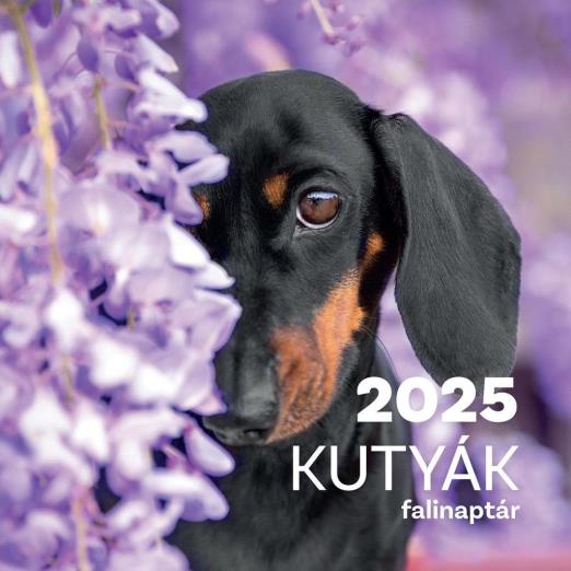 KUTYÁK FALINAPTÁR 2025.