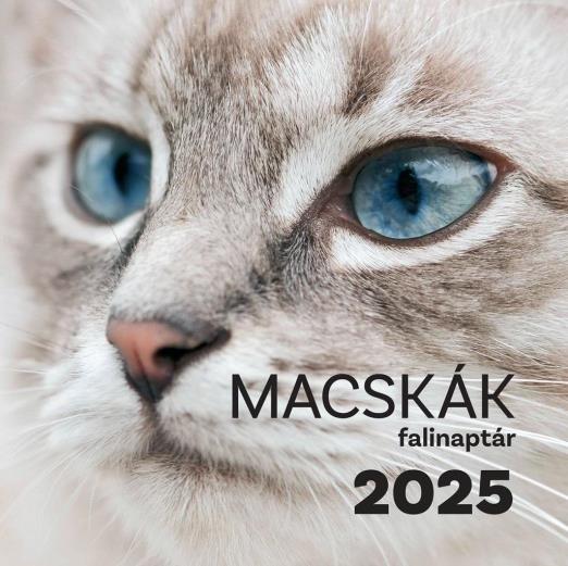 MACSKÁK FALINAPTÁR 2025.