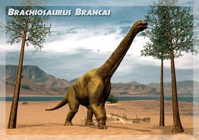 BRACHIOSAURUS 3D KÉPESLAP 148 X 105 MM B