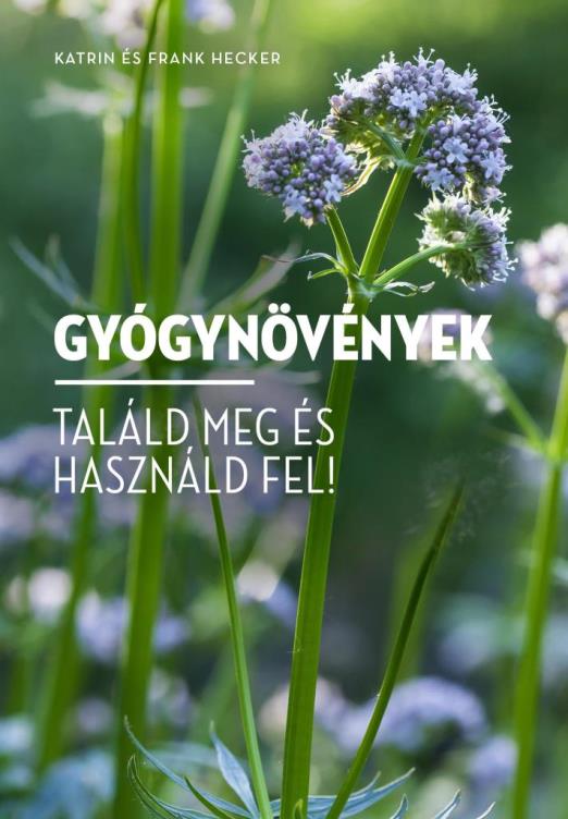 GYÓGYNÖVÉNYEK  - TALÁLD MEG ÉS HASZNÁLD FEL!