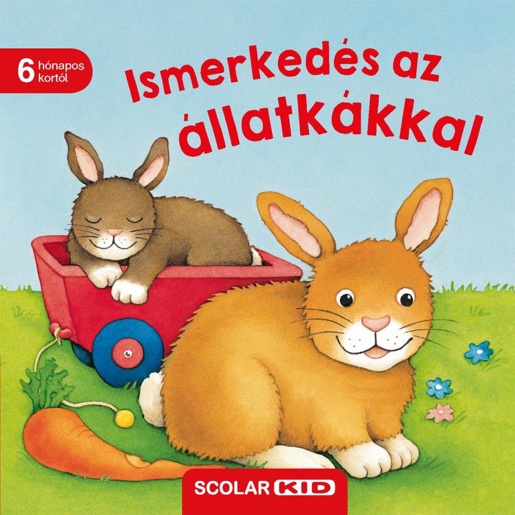 ISMERKEDÉS AZ ÁLLATKÁKKAL