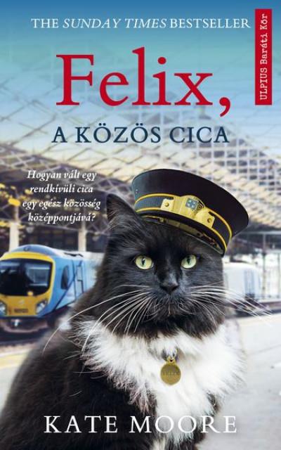 Félix, a közös cica