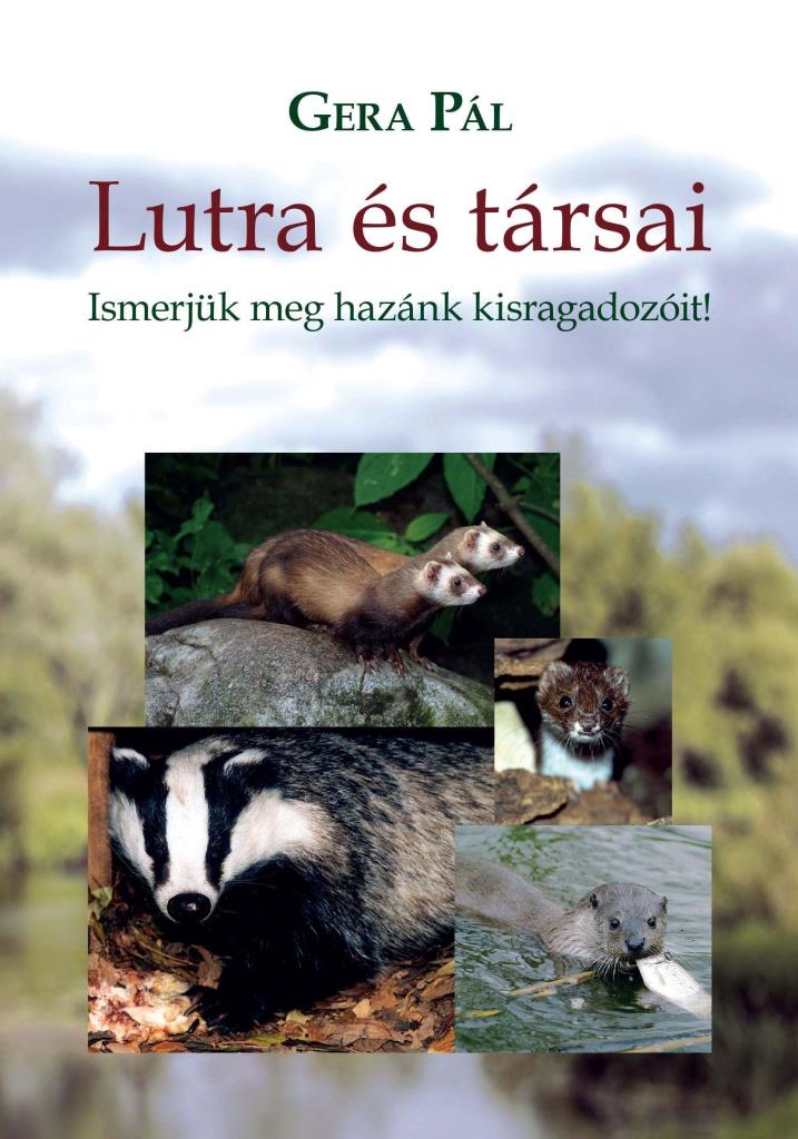 LUTRA ÉS TÁRSAI - ISMERJÜK MEG HAZÁNK KISRAGADOZÓIT!