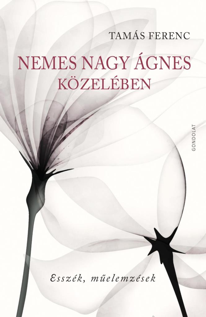 NEMES NAGY ÁGNES KÖZELÉBEN