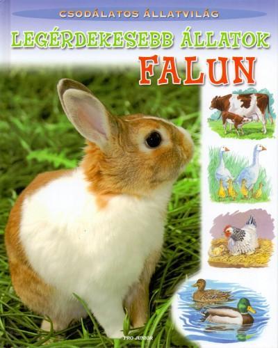 LEGÉRDEKESEBB ÁLLATOK FALUN - CSODÁLATOS ÁLLATVILÁG